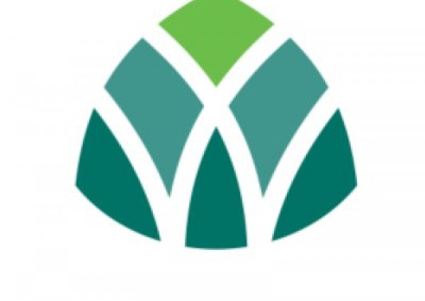 توفر وظائف شاغرة للرجال والنساء بأمانة منطقة المدينة المنورة